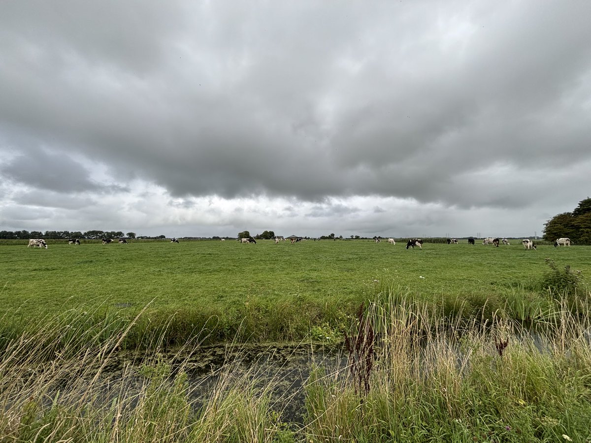 <a href="/MeteoRoodescho1/">Meteo Roodeschool</a> <a href="/janvissersweer/">JAN VISSER</a> Mooie som, heerlijk weer vandaag, hierbij een sfeerbeeldje. Morgen weer zonnig, ook wel even lekker voordat we steeds meer de herfst gaan zien, ik kijk naar beiden uit.
