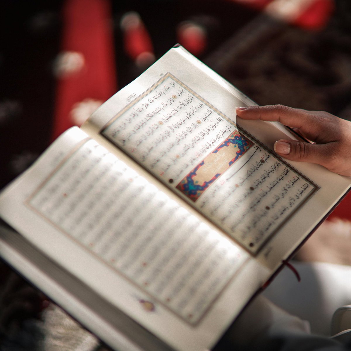 Abdullah Yuyucu tweet media