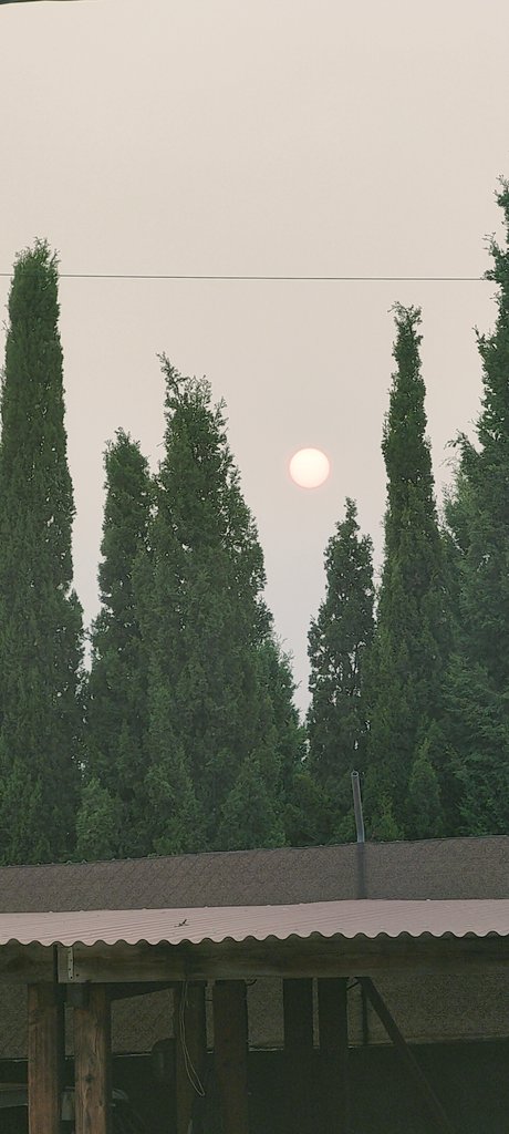 Posta de ☀️ agostenca amb calitja del fum dels incendis de la península ibèrica. <a href="/MiquelSalamanca/">Miquel Salamanca</a> <a href="/TempsIB3/">El temps IB3</a>