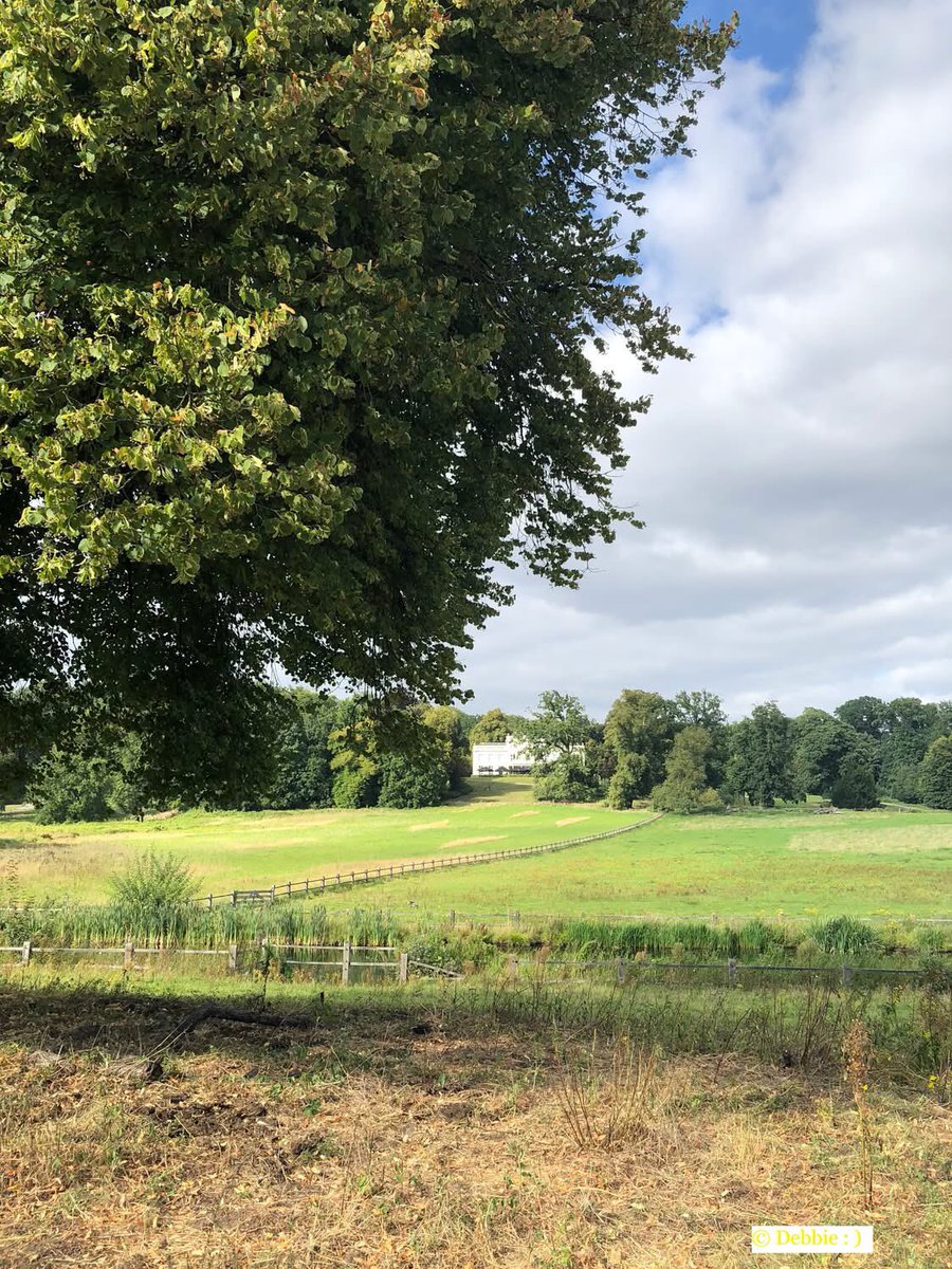 DebbieSchigt's tweet photo. Sfeer compilatie 2
~ 16-08-2025 ~
#middag #Avond #Arnhem
#View #Uitzicht
#Dieren #Gans
#Art #Kunst
#Ergens #OpEenBankjeInHetPark
#Sonsbeekpark #Arnhem https://t.co/ikFMZCF0lt