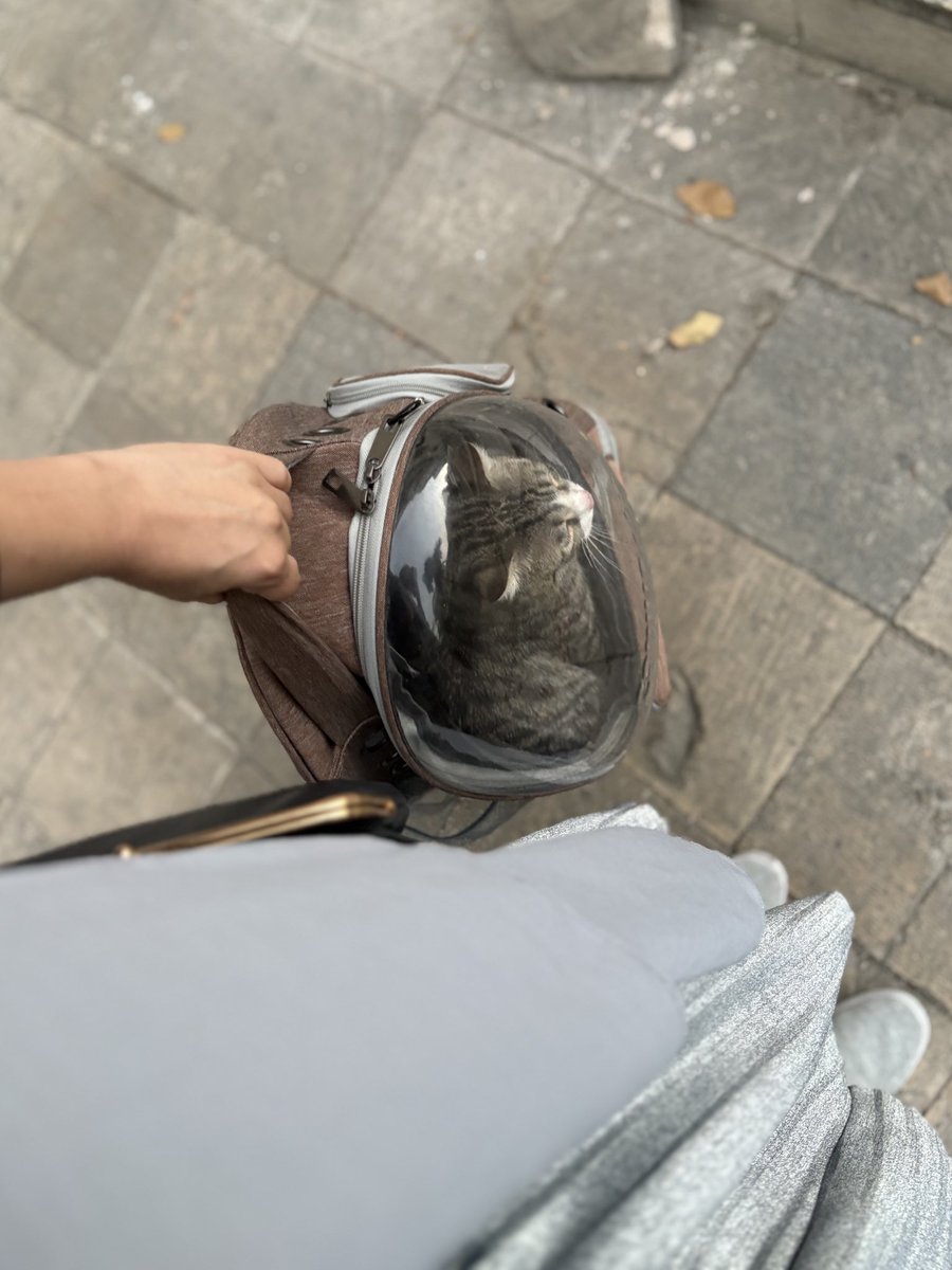 روزِ ششم!
طرحِ رزالی قشنگم فقط دوتا آمپول دیگه مونده!
زیادش رفته کمش مونده مامان.
زودی خوب شو🥺