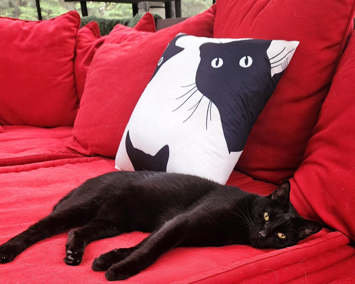 piperan's tweet photo. @TreasuryMog https://t.co/DxMVS39uQF