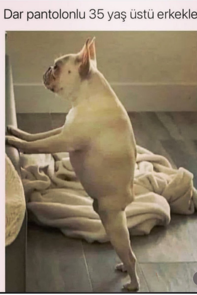 🤣🤣🤣