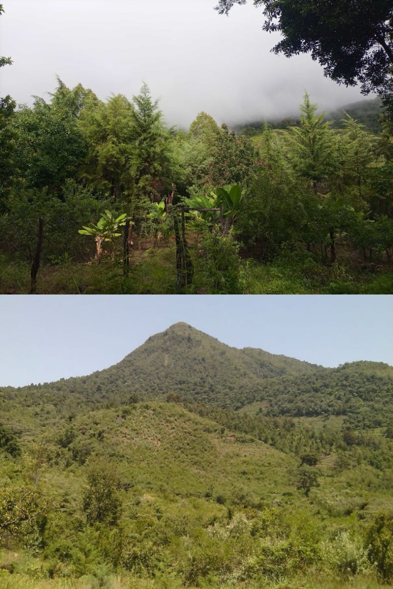 BITTER-HERB🌿 (@bitterherbke) on Twitter photo <a href="/DrMumbiSeraki/">Dr. Mumbi Seraki🇰🇪</a> You mentioned Vatican and the 16 pyramids,, there's that hill in our area,, Catholic church installed a cross up there,,and it used to be a shrine. <a href="/DrMumbiSeraki/">Dr. Mumbi Seraki🇰🇪</a> You mentioned Vatican and the 16 pyramids,, there's that hill in our area,, Catholic church installed a cross up there,,and it used to be a shrine.