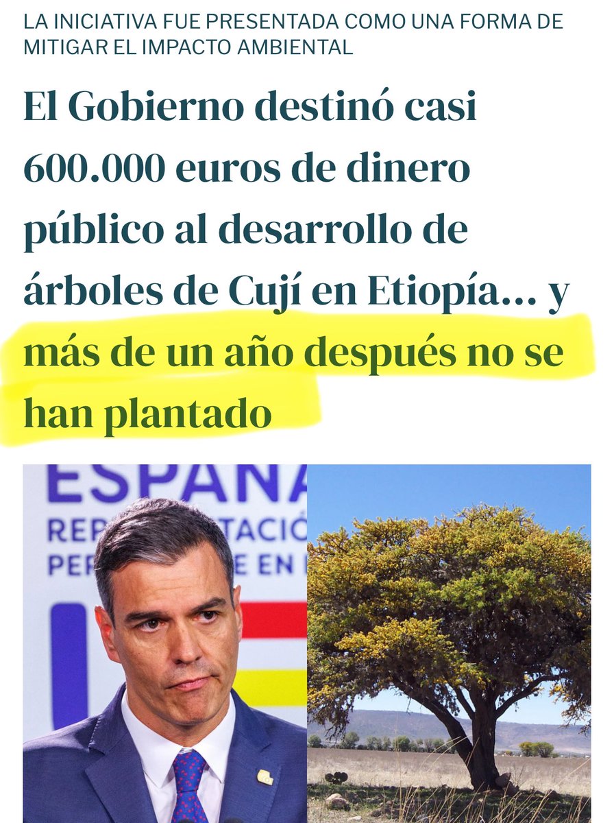 Carlos González tweet media