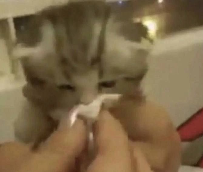 ༊ (@jmnberries) on Twitter photo 