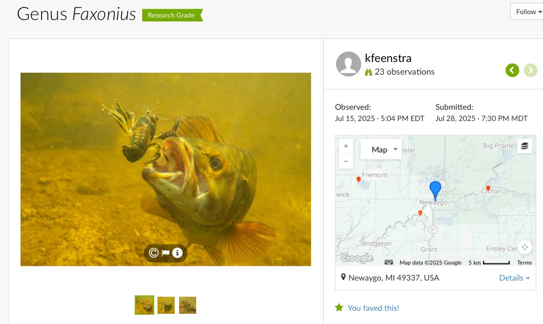 Sophianeⵣ is Team Hoary🦇🦇 tweet media