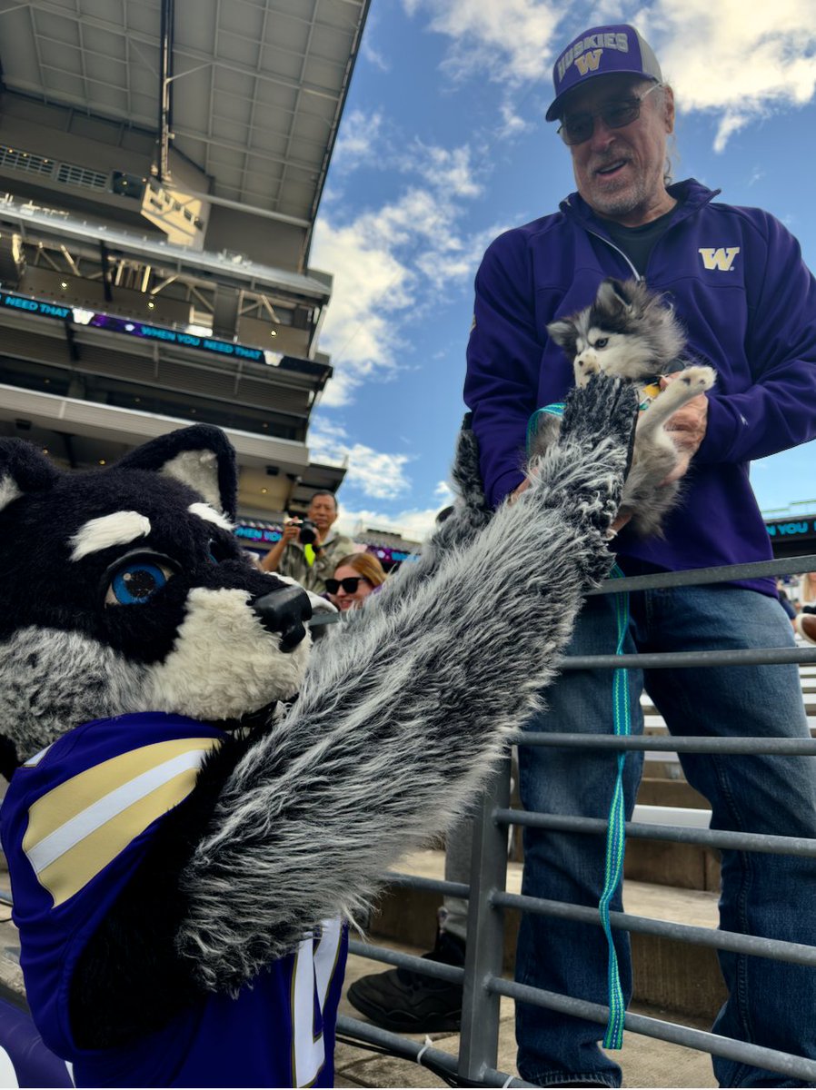 ๐บ๐ฆ Todd Dearinger ๐บ๐ฆ (@toddderinger) on Twitter photo Sophie a Pomsky had a great time @ the UW_football yesterday!
<a href="/JordanReffett/">Jordan Reffett</a> <a href="/DubsUW/">Dubs</a> <a href="/UW/">University of Washington</a> <a href="/UW_Football/">Washington Football</a>
<a href="/UWAthletics/">Washington Athletics</a> #PurpleReign. ย <a href="/HuskyFBNews/">Husky Football News</a> Sophie a Pomsky had a great time @ the UW_football yesterday!
<a href="/JordanReffett/">Jordan Reffett</a> <a href="/DubsUW/">Dubs</a> <a href="/UW/">University of Washington</a> <a href="/UW_Football/">Washington Football</a>
<a href="/UWAthletics/">Washington Athletics</a> #PurpleReign. ย <a href="/HuskyFBNews/">Husky Football News</a>