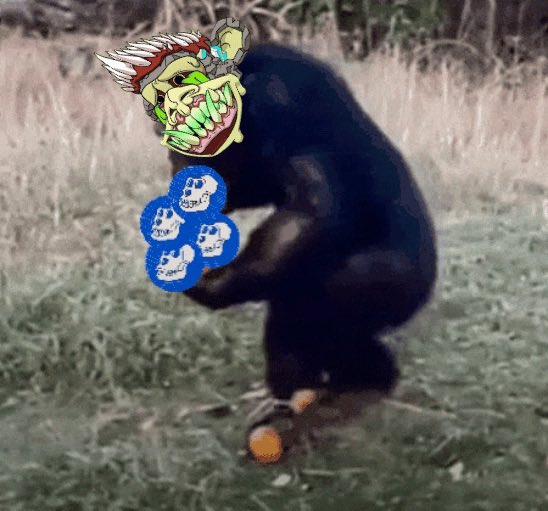 Dan Dober ๐ฆ (@doberdanny) on Twitter photo Lately I scroll CT and it feels boring.
Too many smart posts and longreads, everyone chasing infofi.
I miss the degen vibe, memes and pfp flex.
Only BAYC, Apechain and Geez keep it strong.
The best community ever. <a href="/BoredApeYC/">Bored Ape Yacht Club ๐</a> <a href="/GeezOnApe/">GeezOnApe</a> <a href="/ApeChainHUB/">ApeChainHUB</a> Lately I scroll CT and it feels boring.
Too many smart posts and longreads, everyone chasing infofi.
I miss the degen vibe, memes and pfp flex.
Only BAYC, Apechain and Geez keep it strong.
The best community ever. <a href="/BoredApeYC/">Bored Ape Yacht Club ๐</a> <a href="/GeezOnApe/">GeezOnApe</a> <a href="/ApeChainHUB/">ApeChainHUB</a>