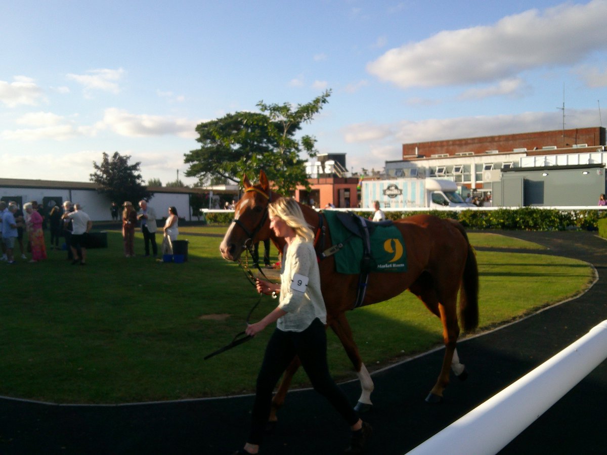 The two local runners at Market Rasen  last night in the pre parade  ring Raincloud and Fast Deal beautifully turned out by <a href="/MissForrester/">Ellie</a>