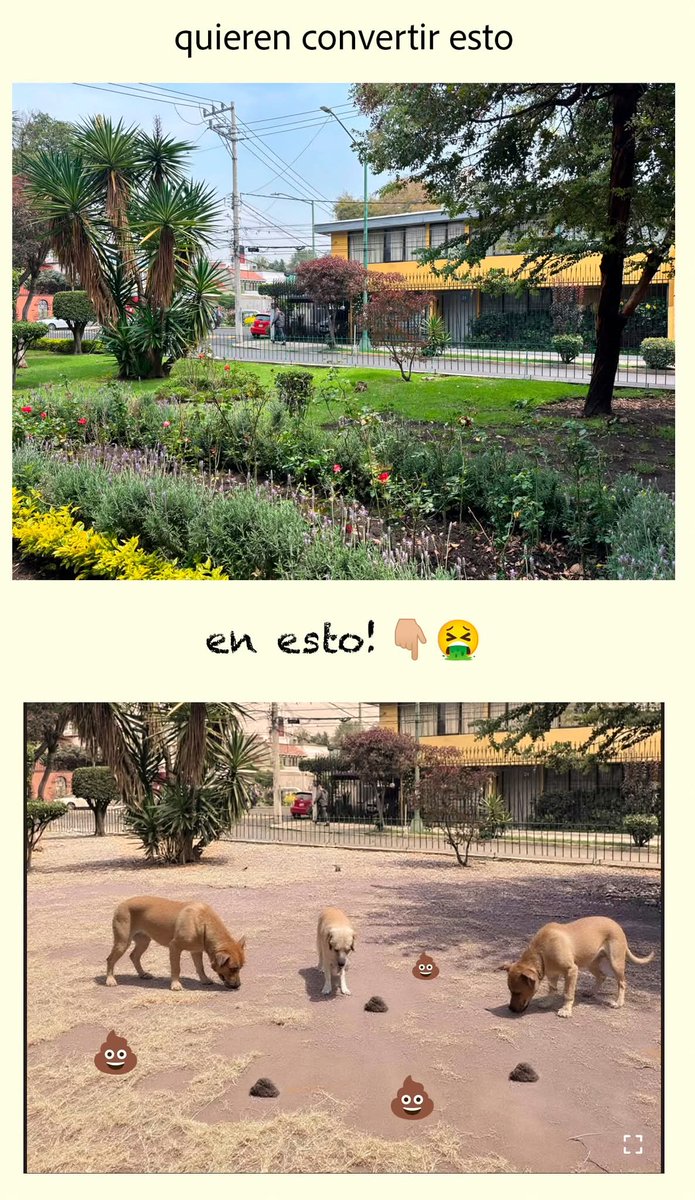 Vecinos de El Rosedal, Mañana DOMINGO 17 son las votaciones para elegir proyecto del Presupuesto Participativo.
No olvides salir a votar.
(INE secciones electorales 716 y 719)