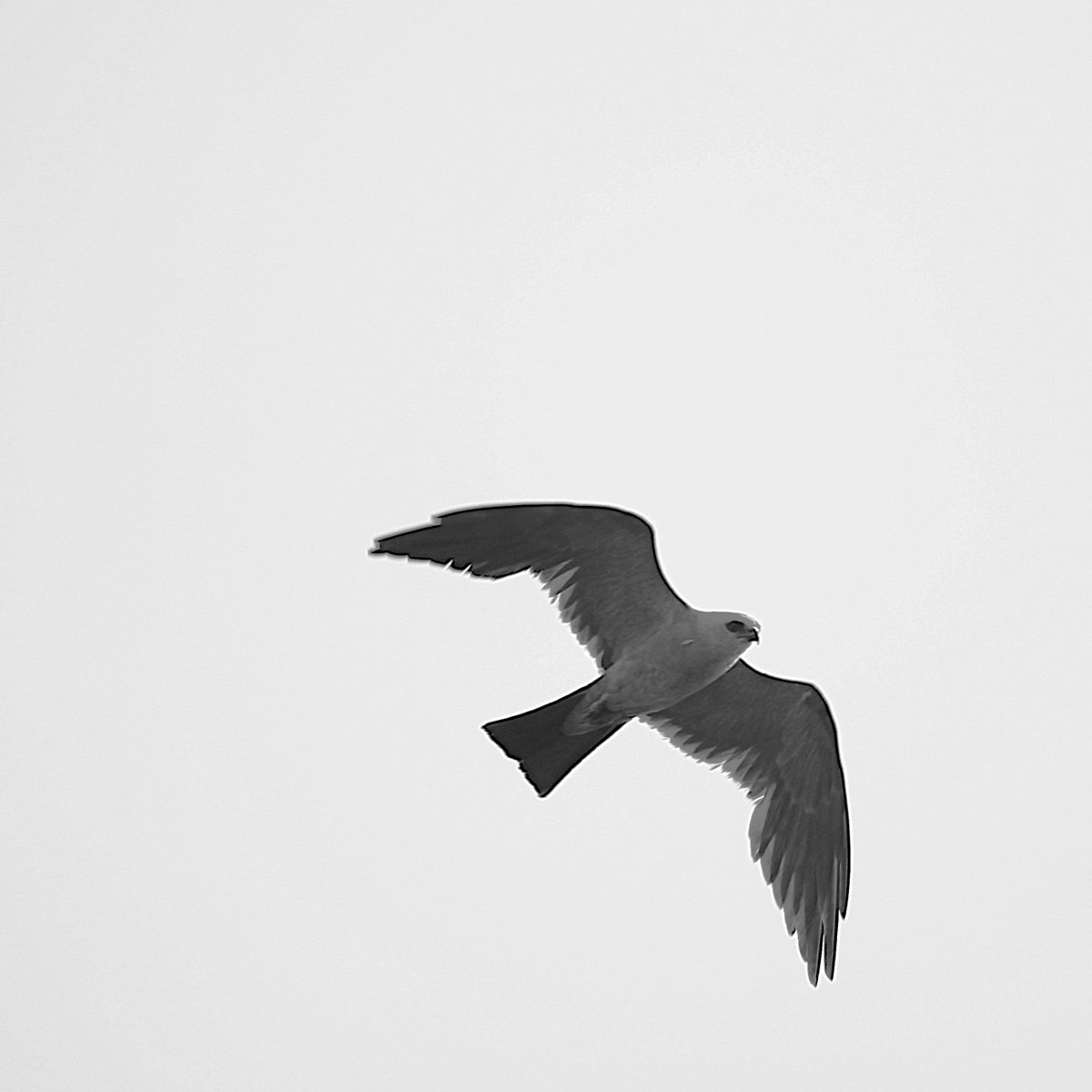 Drifting tweet media