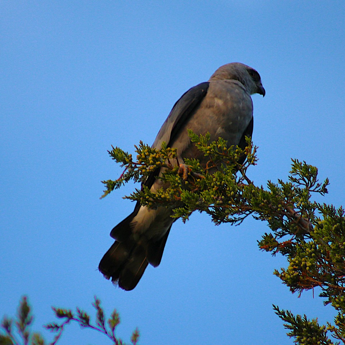 Drifting tweet media