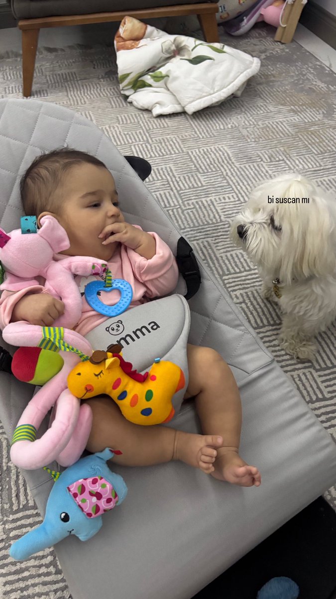 Ne saman susçaksn açaba