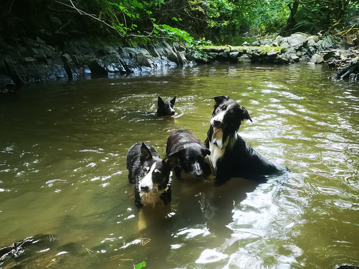 shepherd__jo's tweet photo. Cooling down. https://t.co/WT7XGngl2g