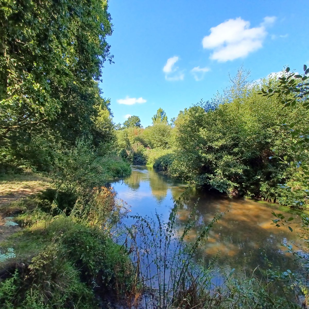 StartLicensing's tweet image. Lovely morning stroll along the #RiverWey #Tilford - nice to see a #river in such good condition - looks very clean and clear. 
@CanalRiverTrust @SurreyWT
#tilfordnatureserve