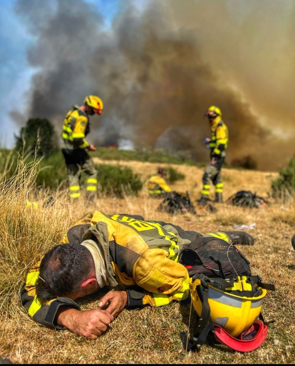 Esta imagen es desgarradora.

Llevan toda la semana peleando con el fuego, salvando vidas y poniendo la suya en peligro.

Son héroes y hay que reconocérselo.

GRACIAS a Bomberos, Agentes Forestales, la UME, Policía, GC, todos los pilotos de 🚁 e hidroaviones y a los voluntarios.