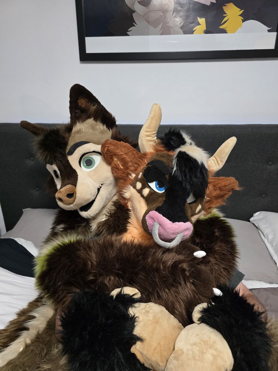 AmarokHusky's tweet photo. Its one of these days I'd stay in bed all day long to cuddle a cutie like @Dasama98 🥰🤗❤️ https://t.co/yuqVRydAYf