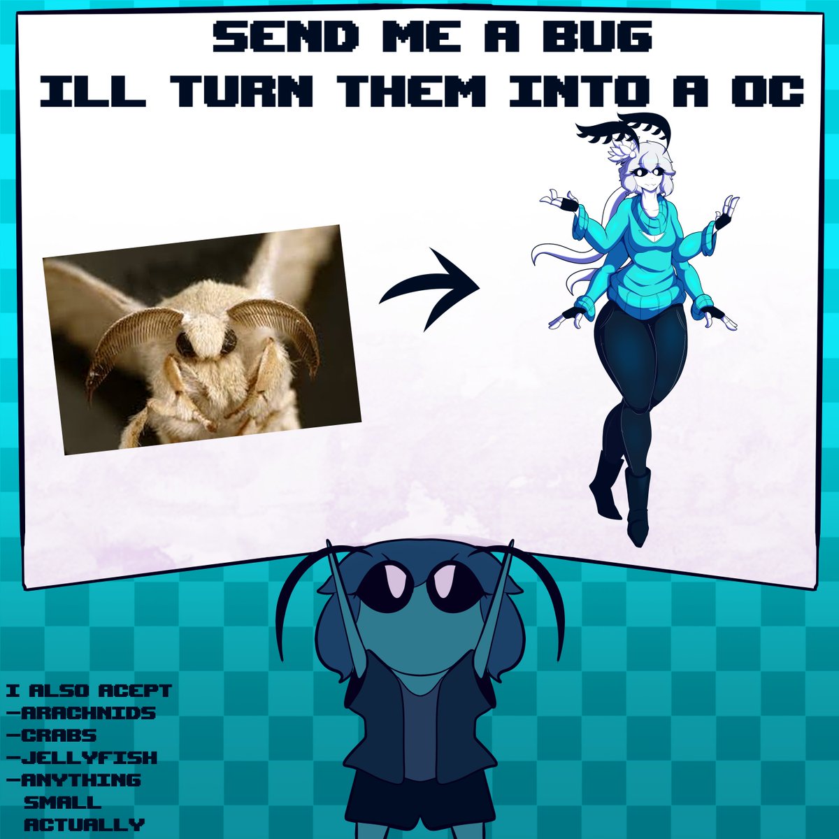Send me a Bug and I'll turn them into a Oc!💙🤍💙

Ill do little designs based on these bugs
you can send also shrimps, crabs, spiders, snails, anything that is small to be honest!

Oh, ill just accept the bugs sent here, not the ones in Dm's