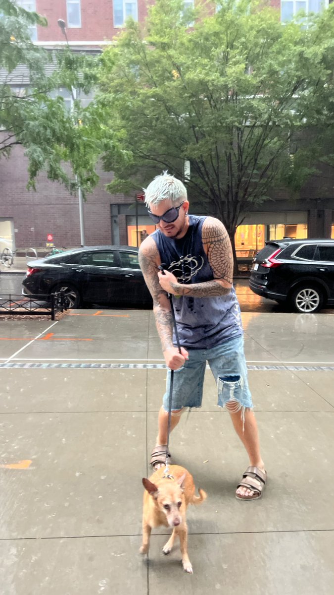 GELLY (@4gelly) on Twitter photo . <a href="/adamlambert/">ADAM LAMBERT</a> 's stories with Max and Joe and Pharaoh in NY! "Before . After . The rain! ๐๐ฅฐ๐ฅฐ . <a href="/adamlambert/">ADAM LAMBERT</a> 's stories with Max and Joe and Pharaoh in NY! "Before . After . The rain! ๐๐ฅฐ๐ฅฐ