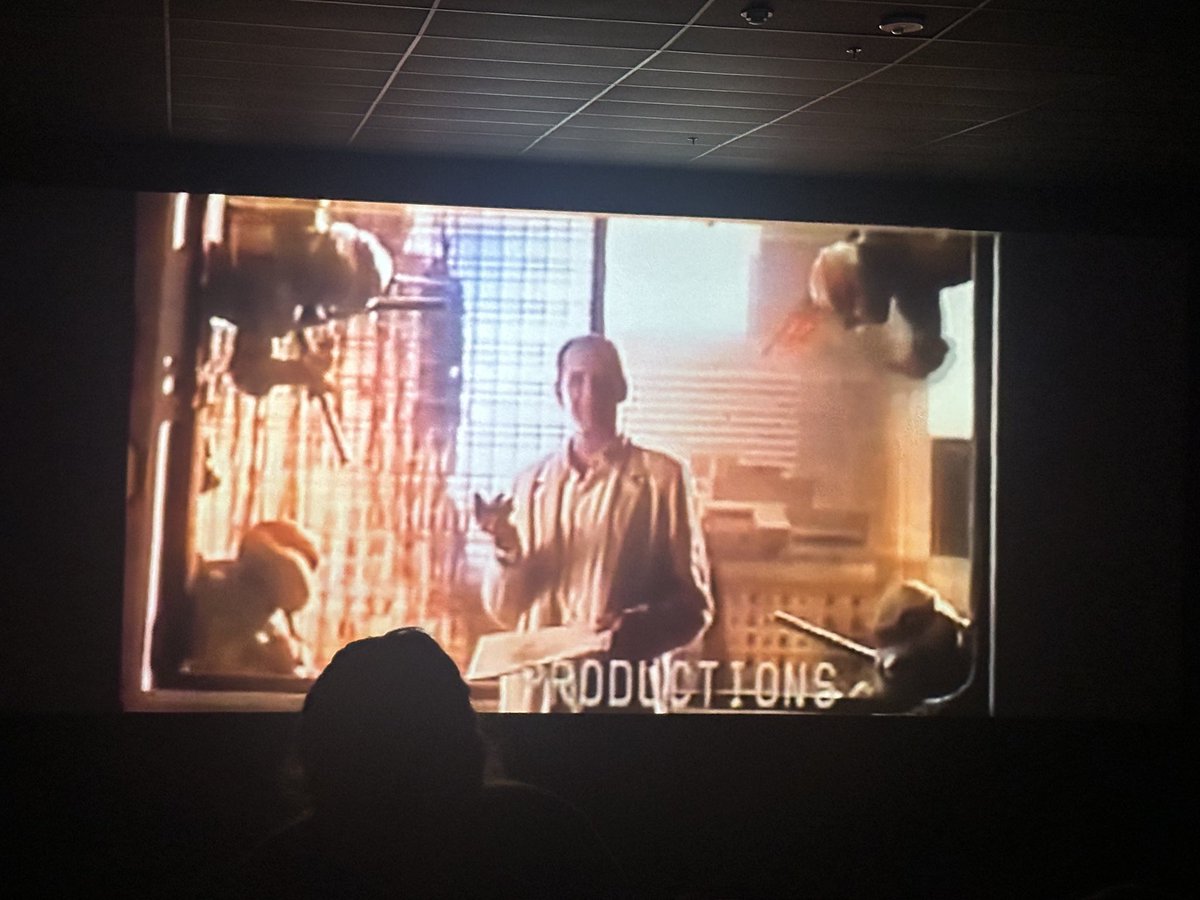 Turtle Dad and the Kaiju Kid tweet media