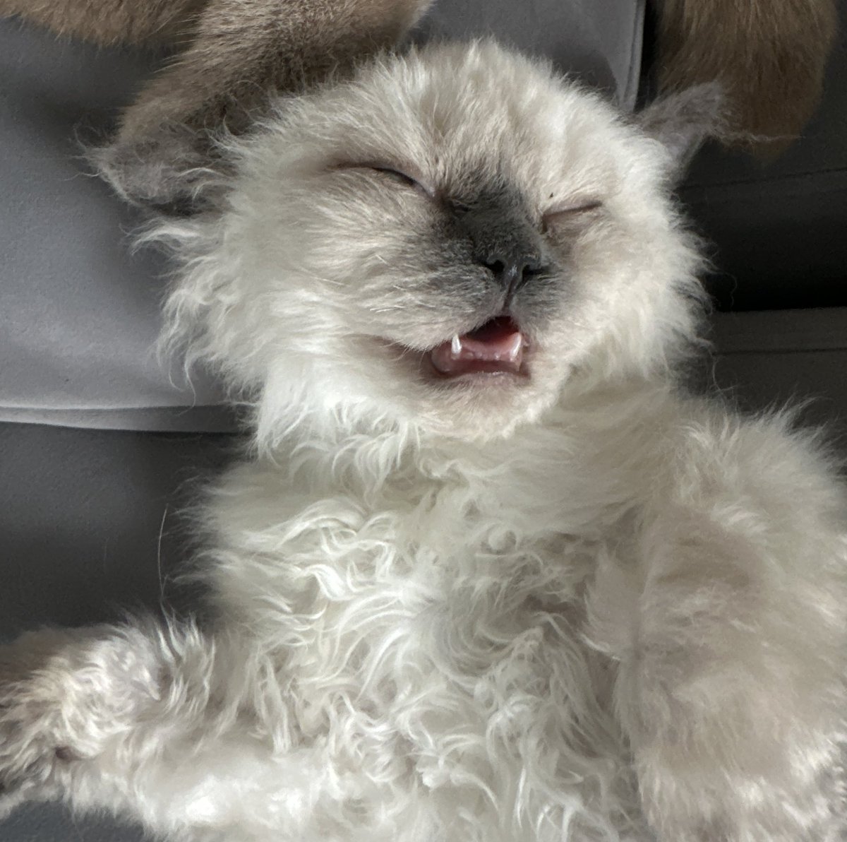 maxsmith's tweet image. What a guy