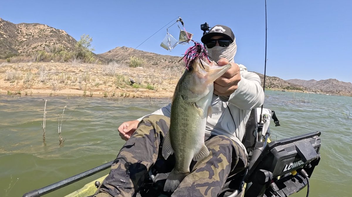 WARBAITS's tweet photo. BUZZ BAIT Pattern: Steep terrain with submerged vegetation https://t.co/K85SFM64Fd via @YouTube https://t.co/J4tjAncjjb