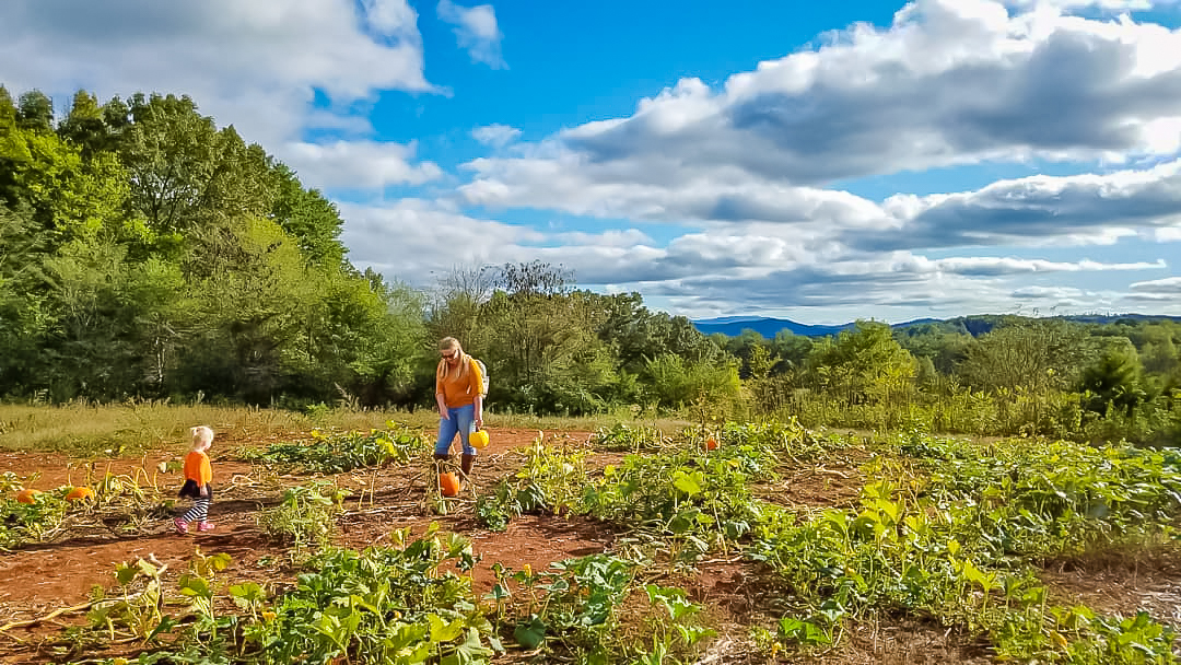 Your fall family adventures await in Tennessee. 

📍Anakeesta, Gatlinburg
📸 anakeesta

📍The River Maze, Ocoee
📸 philipsparn