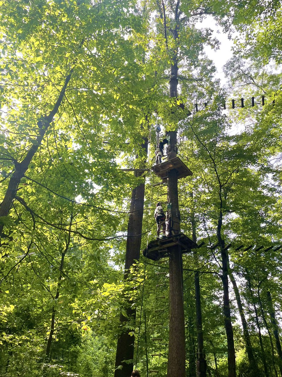gcfootball's tweet image. GC Football Team building at The Adventure Park at Sandy Spring

@AdventureParkSS 

#WeAreGC
#DontLookBack