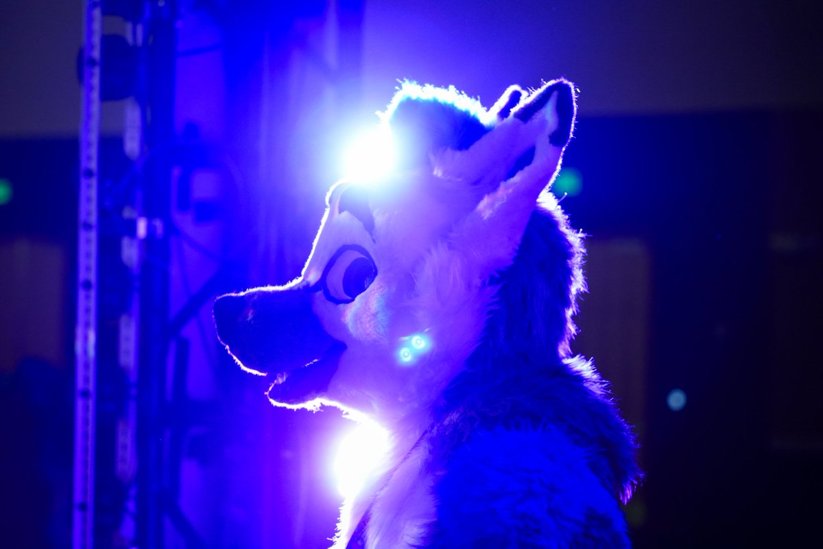 OfficialBexis tweet media