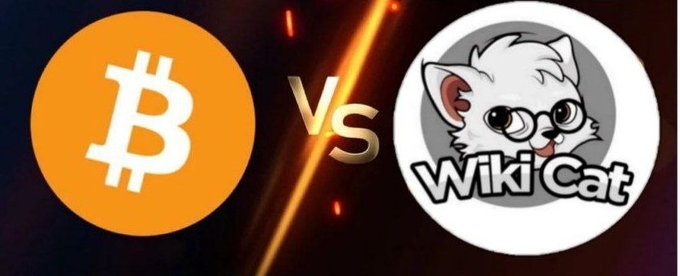 elonmuskk4839's tweet photo. Without #Bitcoin No Altseason   

Without #Wikicat No Memecoin Season   

Bitcoin Like🔥
Wikicat Follow😺

$WKC WIKICAT @wikicatcoin https://t.co/ml7noheioW
