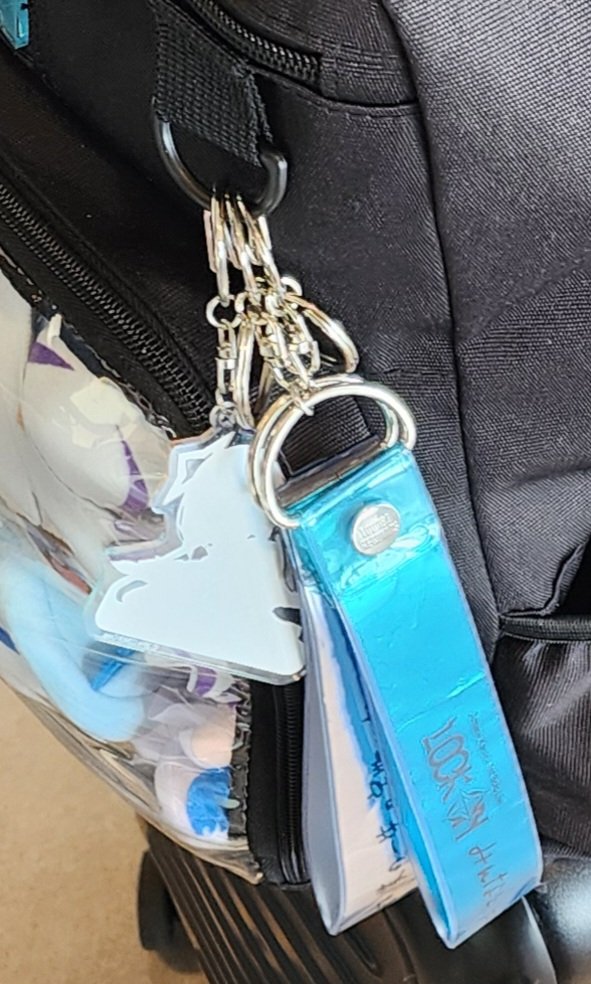 tofurys's tweet photo. こんにちは、銀のカナタのストリーマーを見たことがある人はいませんか？私は帰り道で失くしてしまいました。

Hello, has anyone seen a silver Kanata streamer? I lost it on my way home.

#撃ち抜けかなた #hololive https://t.co/pNtZorJygp