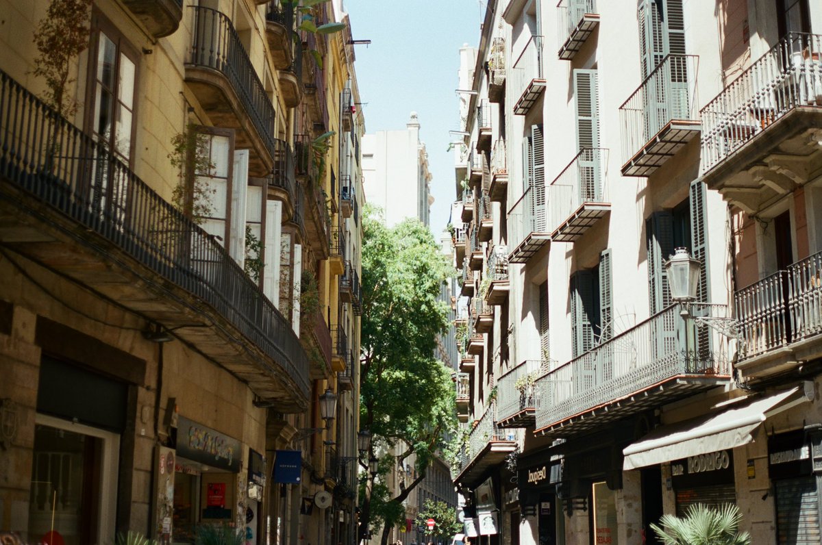 Hideouts tweet media