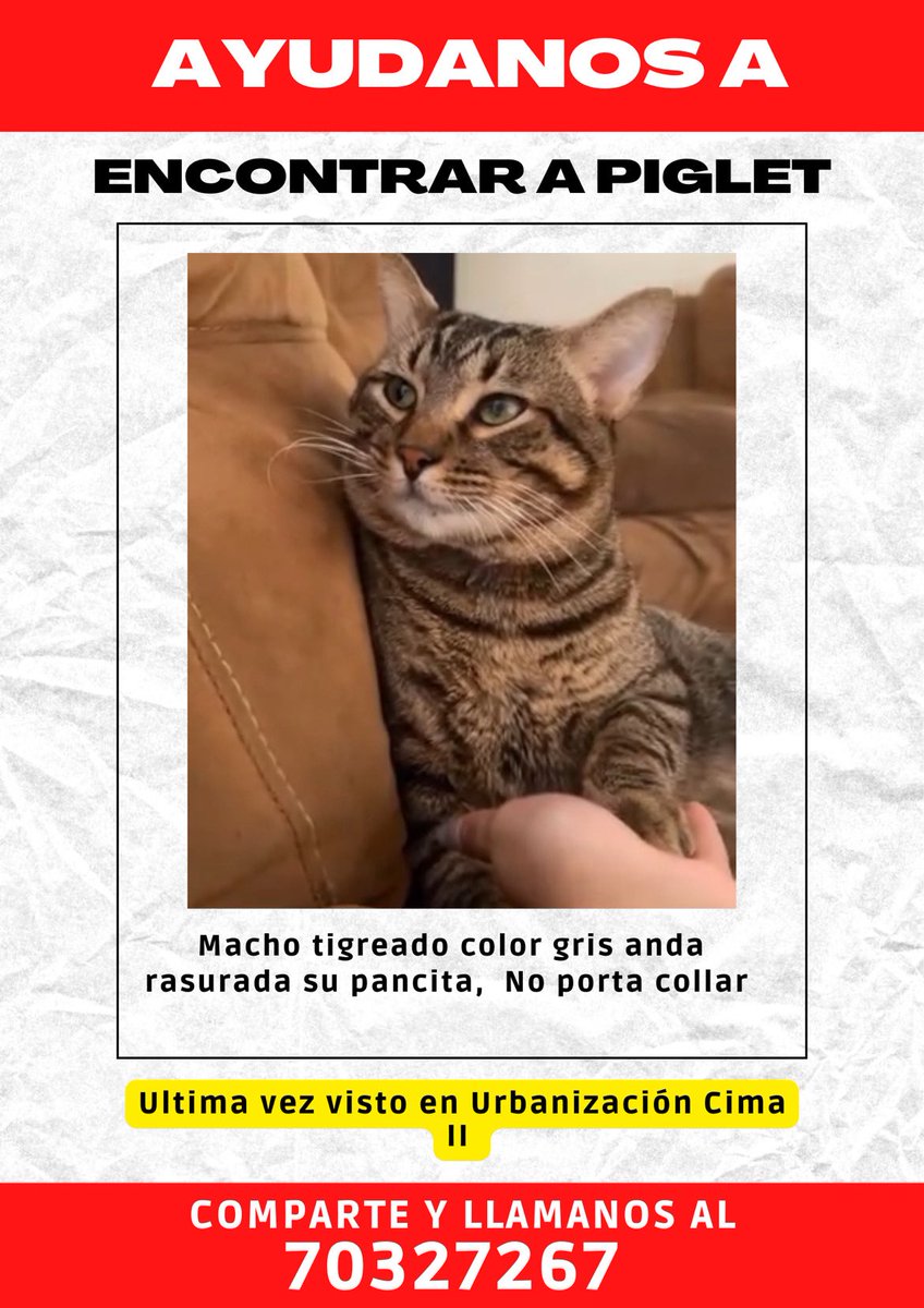 Se busca en: Urbanización La Cima II