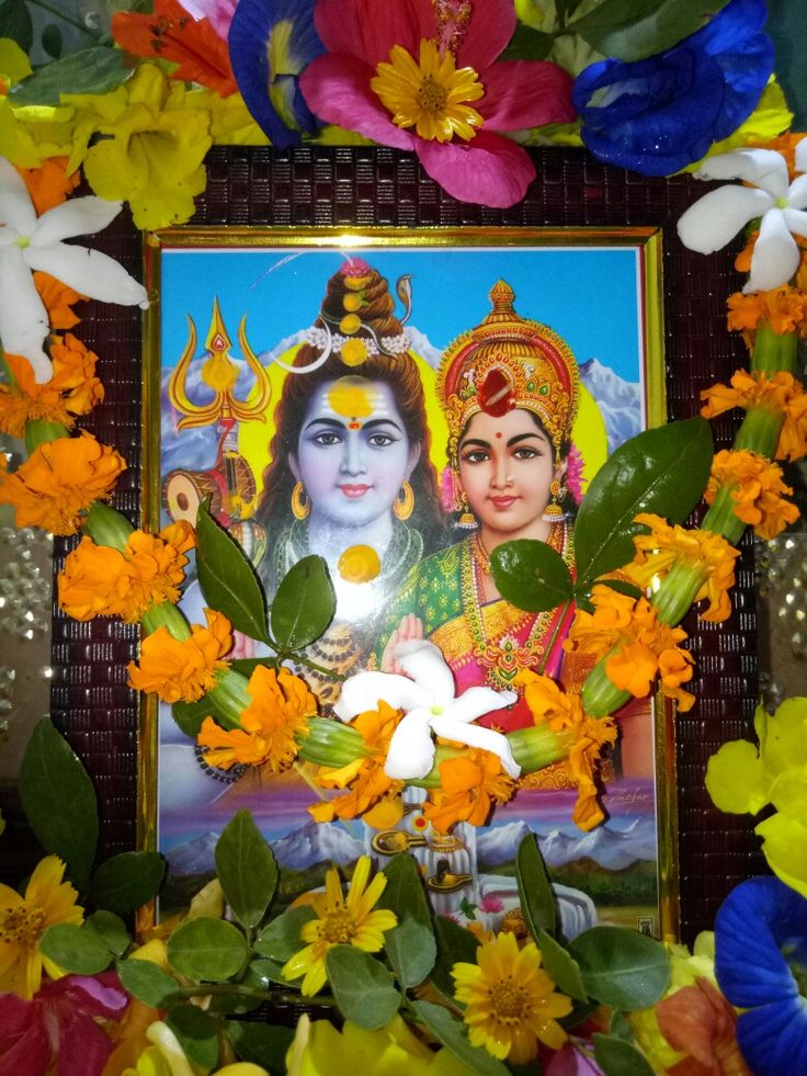 Naina__8's tweet image. स्त्री डुबना भी पसंद कर लेती है,
अगर समन्दर प्यार और सम्मान से भरा हो तो !!....💯💖🌸
#हर हर महादेव 🌿 
#शुभ_प्रभात_वंदन 🌱
#हर_हर_महादेव_शिव_शंभू_ॐ 🌾🌸