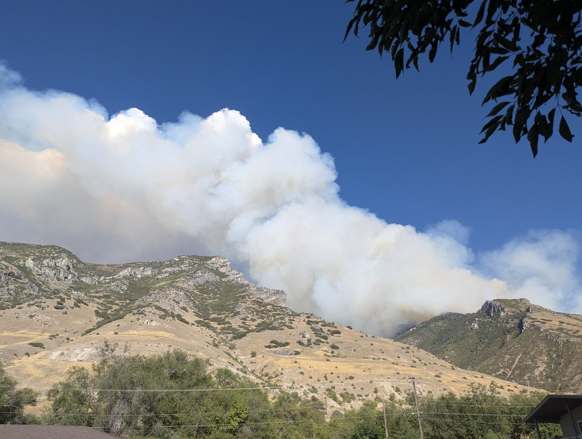 WasatchWill's tweet image. My from yard right now. 🙃