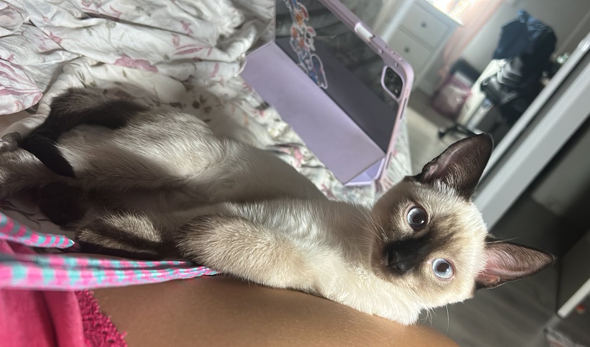 Sweet dreams my love! Te quiero