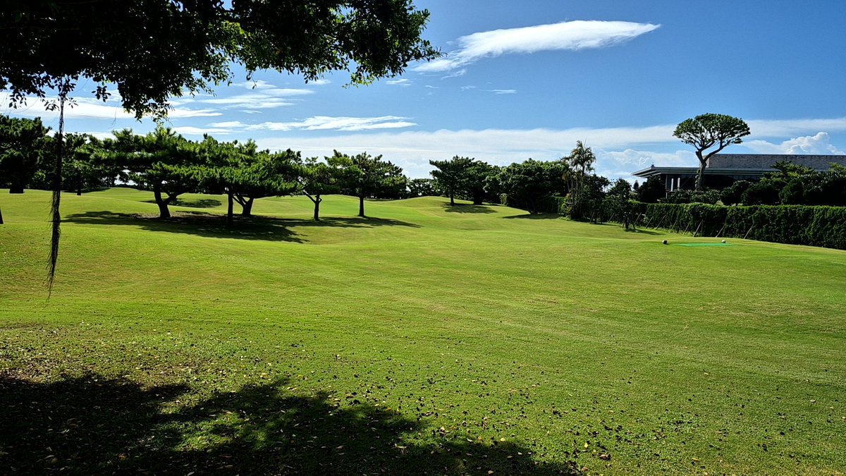 夜中の雨はなんだった？ってくらい天気良いなぁー