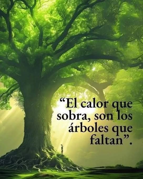 Lo suscribo en todas y cada una de sus partes. Para la Reflexión Serena.