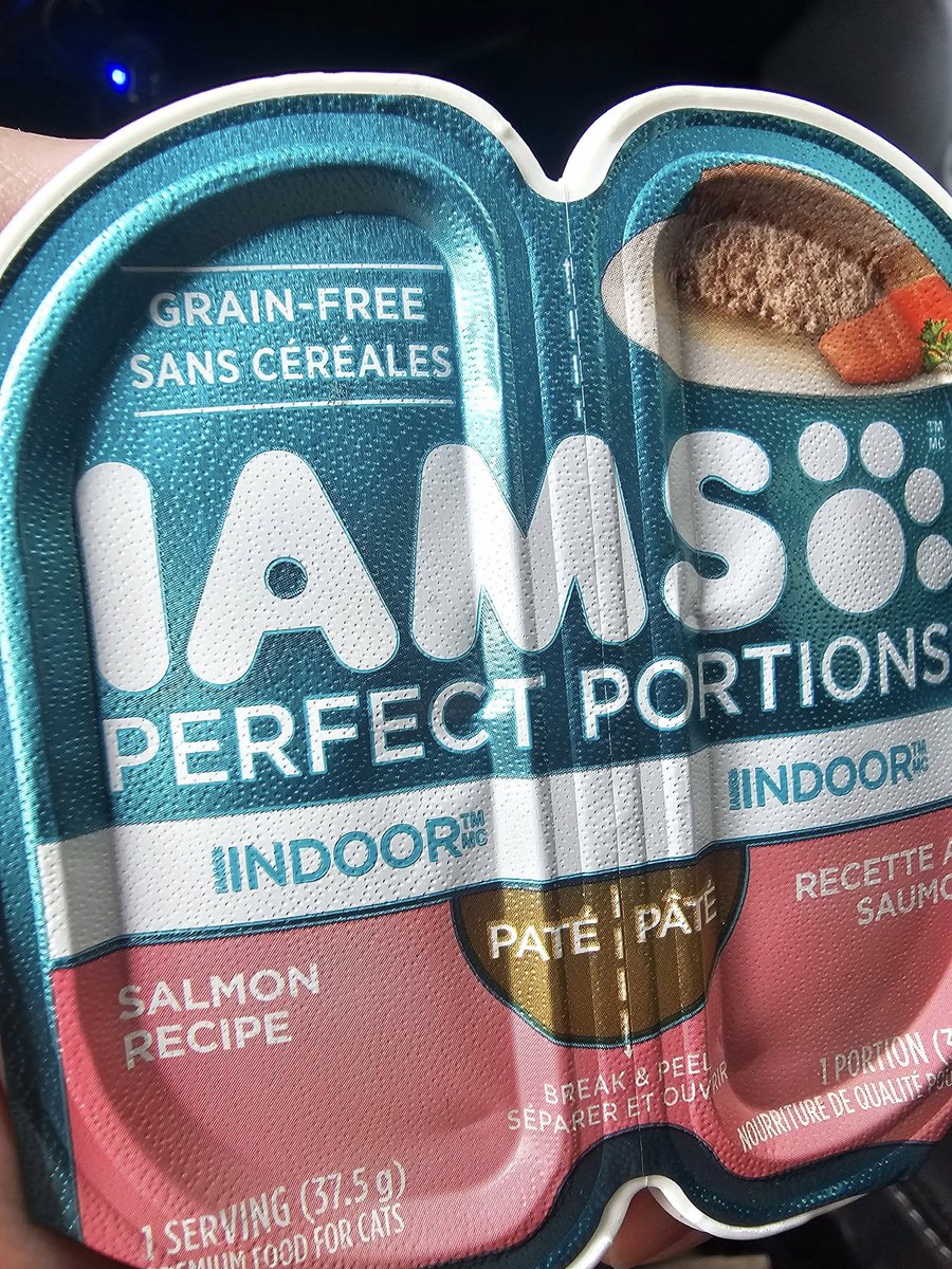 Troy More 🇨🇦🇺🇦🇮🇱🇵🇸 tweet media