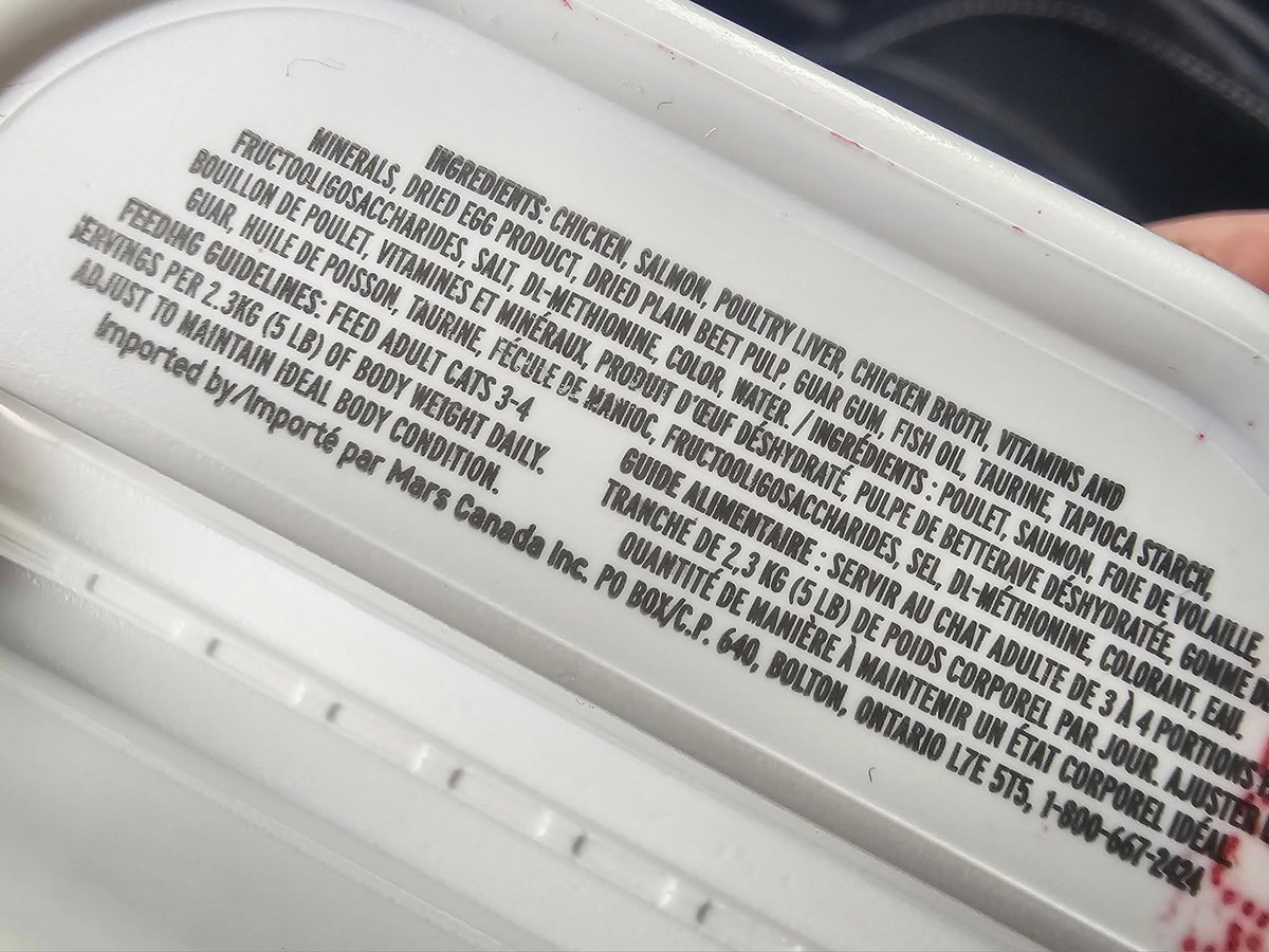 Troy More 🇨🇦🇺🇦🇮🇱🇵🇸 tweet media