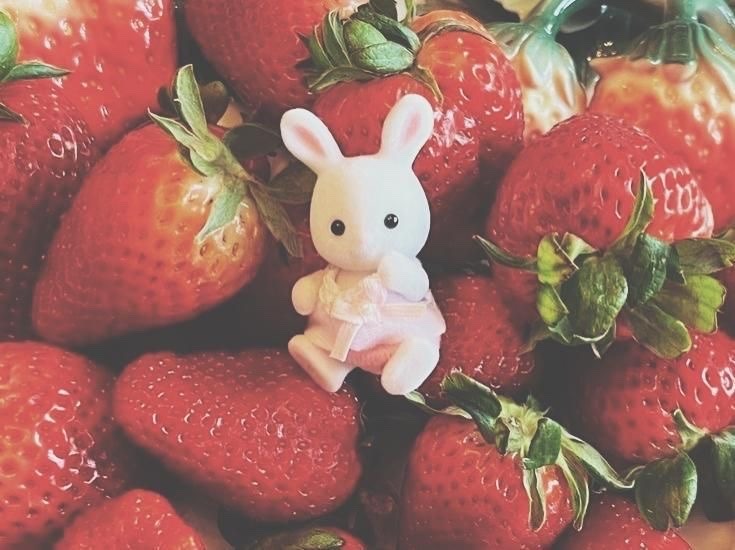 cctsubu's tweet photo. ˖ ⊹ 𓈒 “𝓜𝓲𝓷𝓲 𝓡𝓾𝓵𝓮𝓽𝓪” 𓈒 ⊹ ˖
⠀⠀⠀   ⠀⠀⠀   ⠀⠀⠀   premio: 20 rbx ೄ
﹟fav y rt
﹟seguirnos 
﹟comenta https://t.co/Qiu7zrQfkx