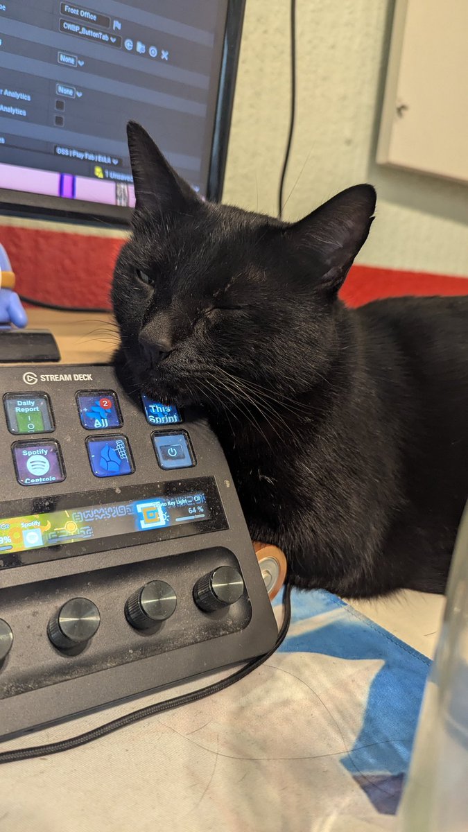 el Amigohms tweet media