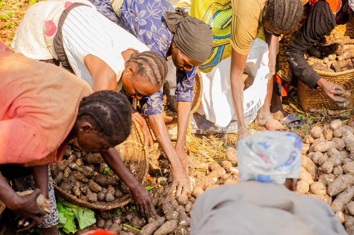 FESO (Femmes Solidaires) tweet media