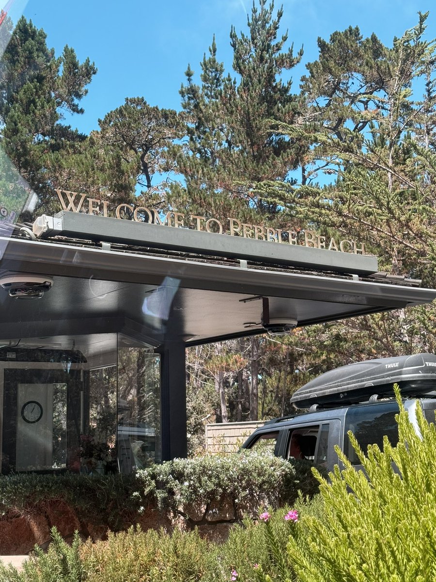 Playing peb because why not