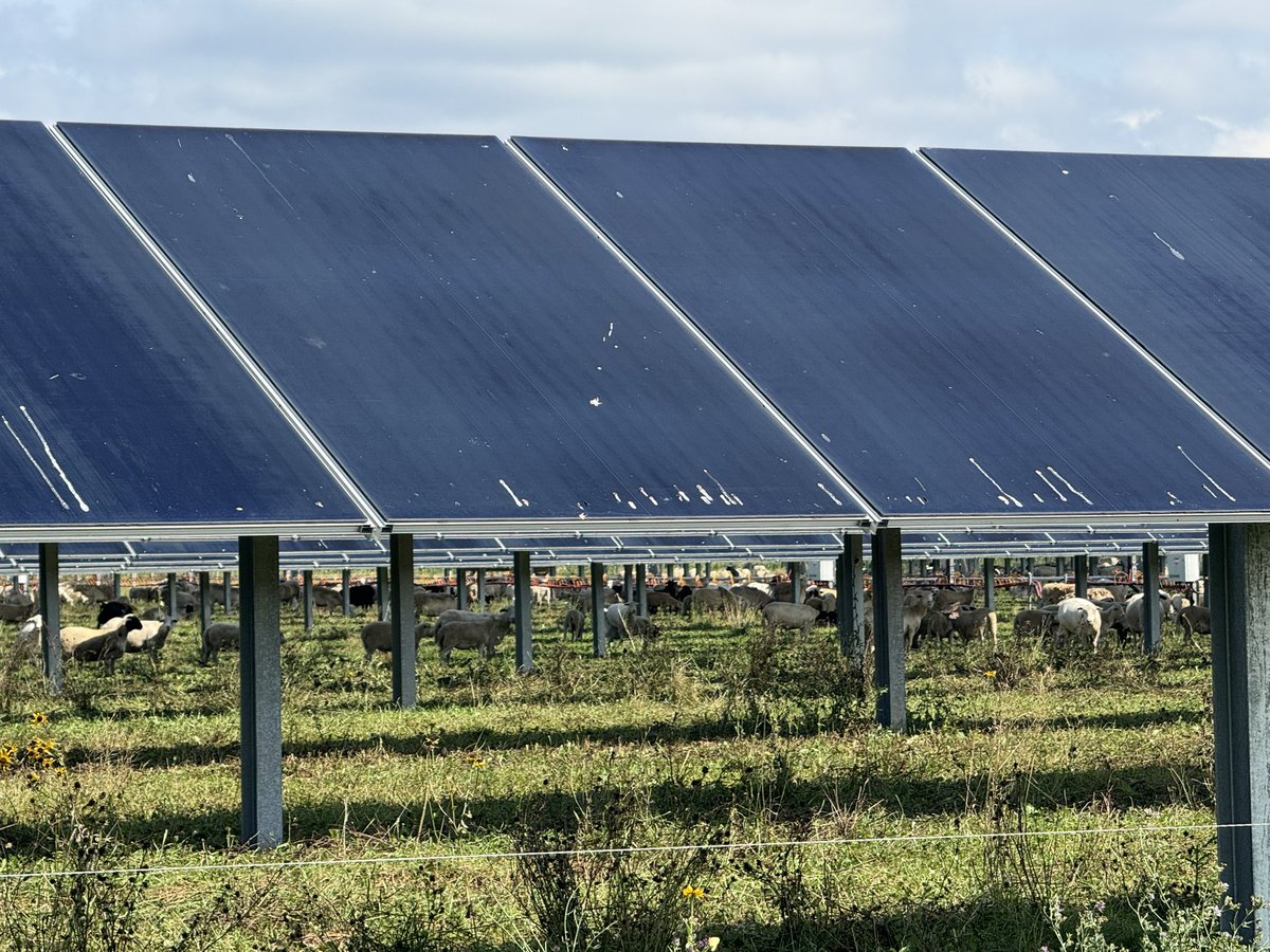 Greg Gunthorp tweet media