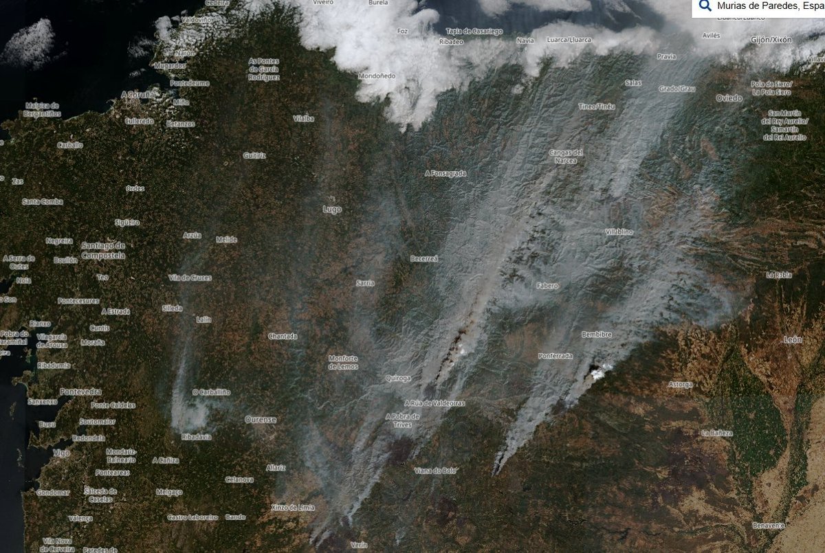 Ferran Dalmau - Rovira tweet media