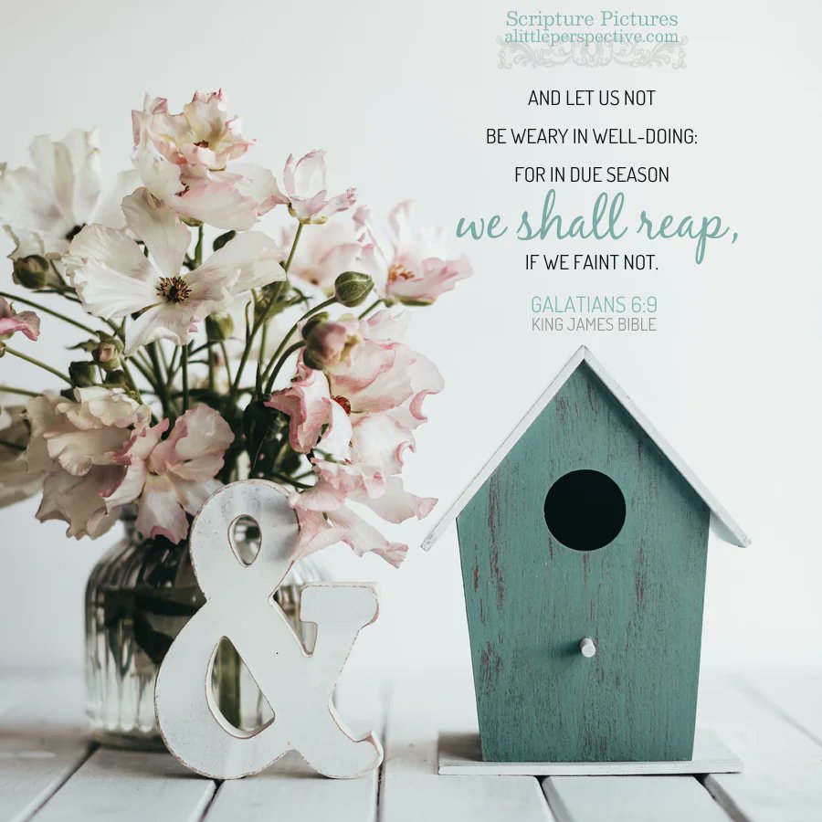 DentonKollar's tweet image. And let us not be weary in well doing:
    for in due season we shall reap, if we faint not.

- Galatians 6:9 (KJV)

#Jesus #Christ #myStrength