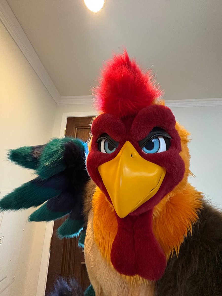 POV: You're about to get beat up by a chicken 👊🐓