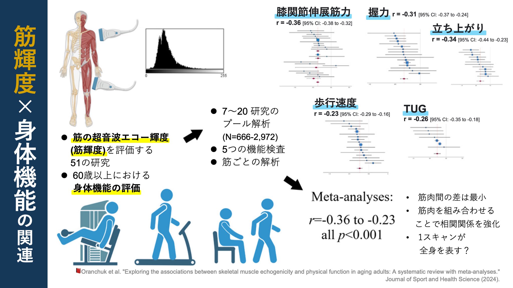 ヒトの絶対筋力―超音波診断による体肢組成・筋力の分析― Amazon.co.jp: ヒトの絶対筋力―超音波による体肢組成・筋力の